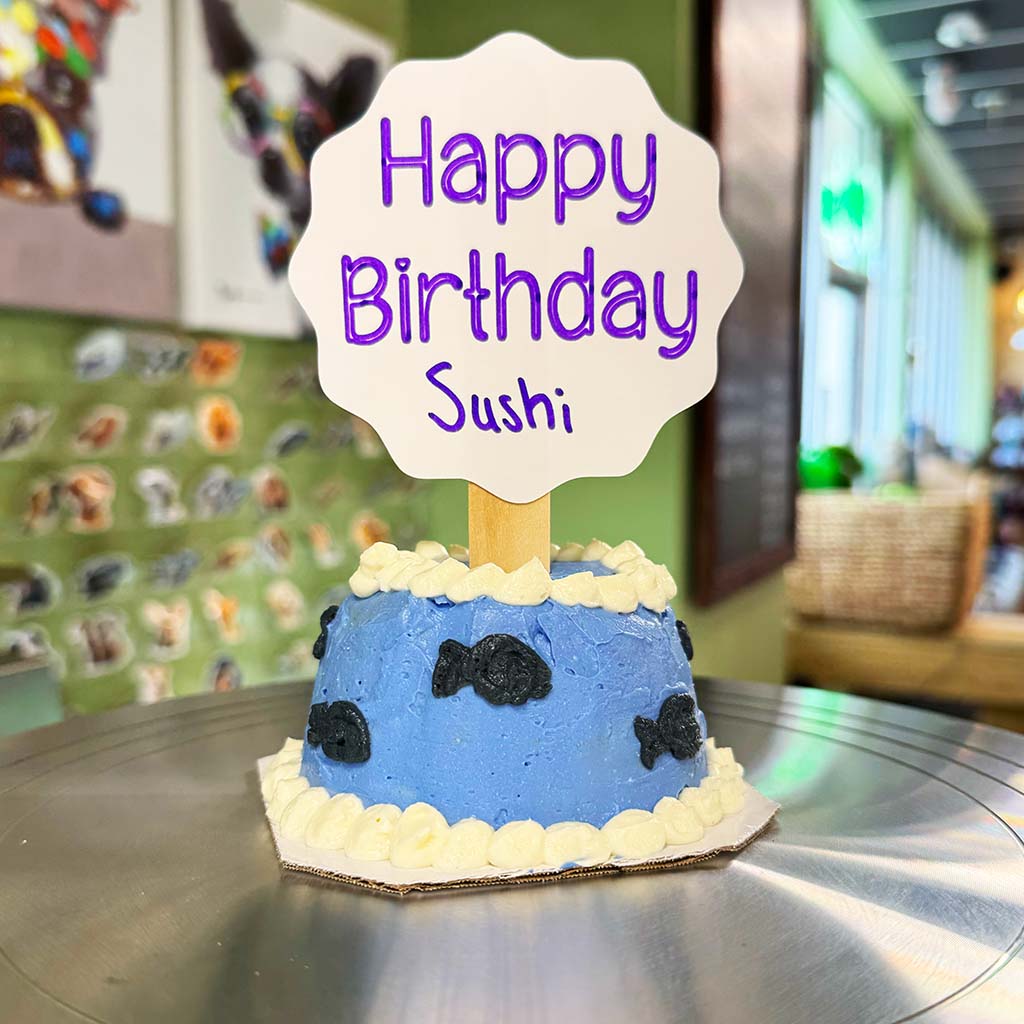 Blue 3-inch cat birthday cake with fish design and birthday topper