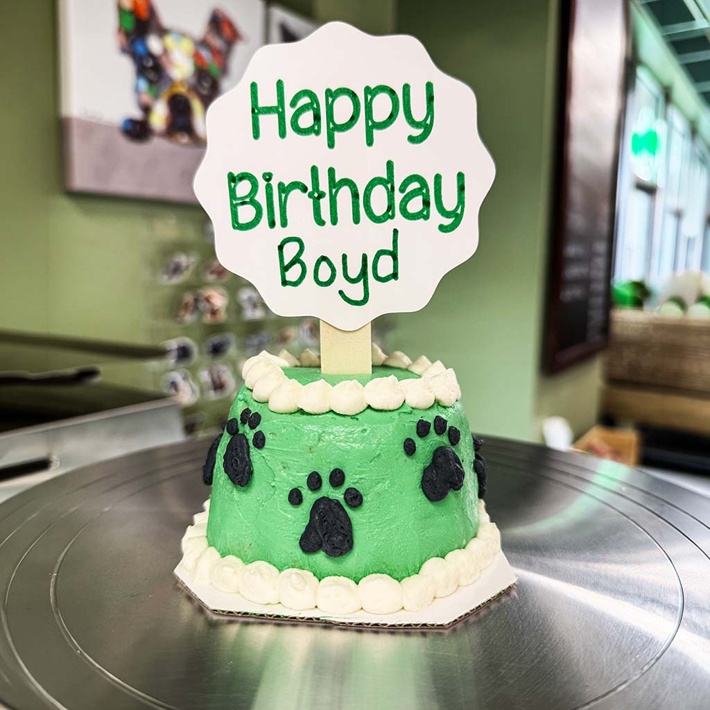 3-inch dog cake with green frosting and paw print design